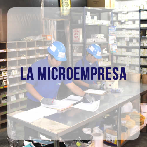 INKARIPERU | LA MICROEMPRESA